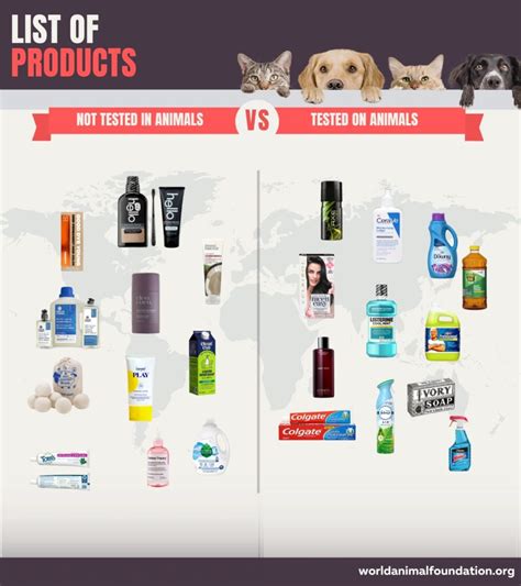 does dior perfume test on animals|brands that support animal cruelty.